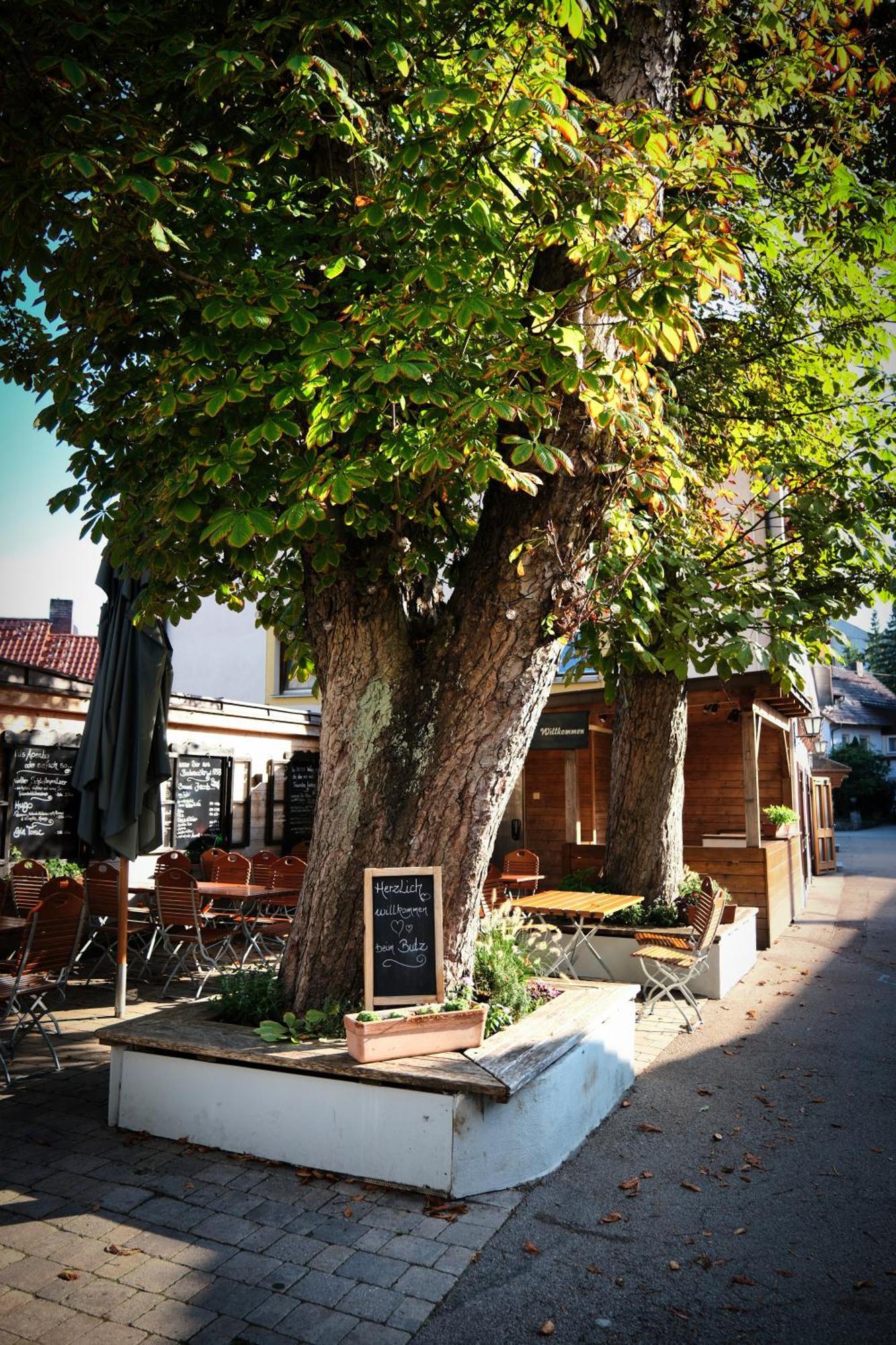 Hotel "Beim Butz" Worth an der Donau Zewnętrze zdjęcie
