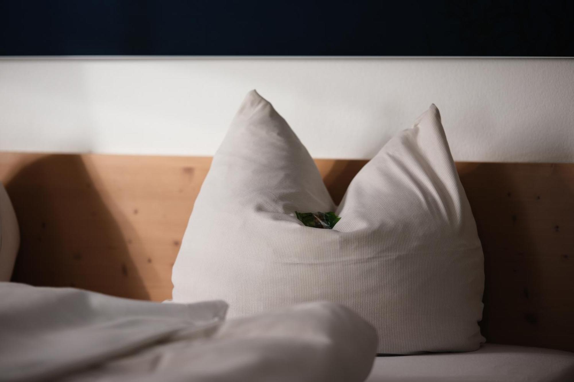Hotel "Beim Butz" Worth an der Donau Zewnętrze zdjęcie